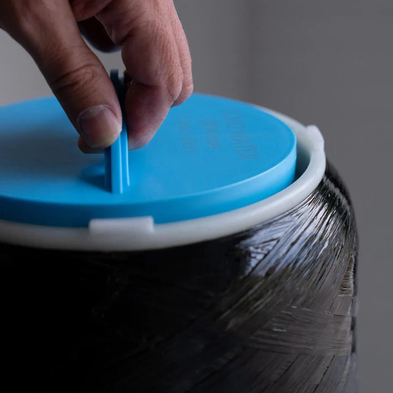 Whole Home Water Filter - Echo Pure